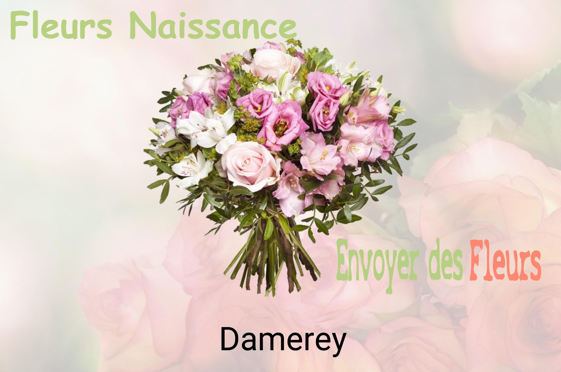Bouquet de fleurs de naissance livré à Damerey